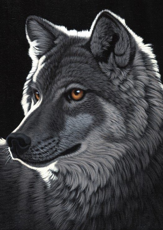 Puzzle Schim Schimmel: Noční vlk