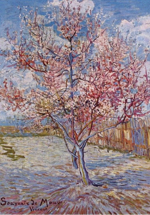 Puzzle Vincent van Gogh: A rózsaszín őszibarackfa virágzásban, 1888