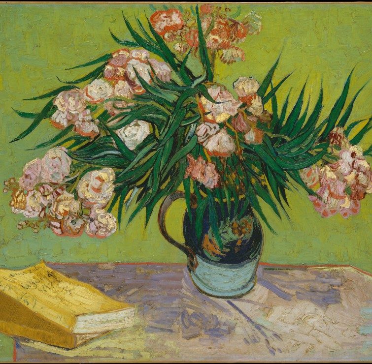 Puzzle Vincent Van Gogh: Oleanders