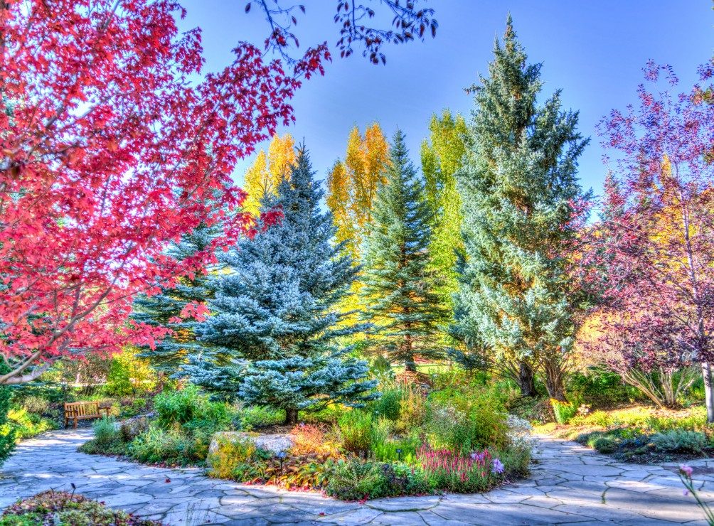 Puzzle Kolorowy las, Kolorado, usa