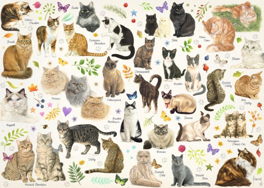 Puzzle Cats poster