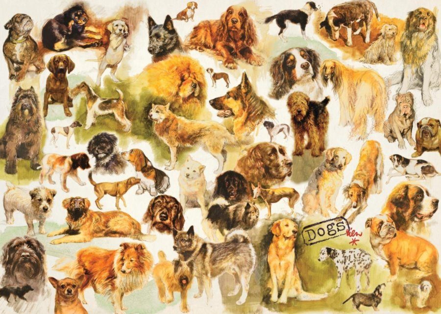 Puzzle Hunde Poster