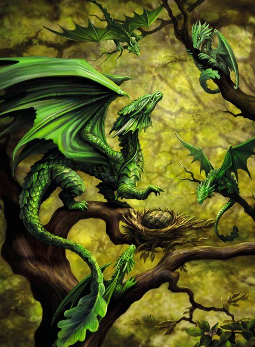 Puzzle Anne Stokes: Forest Dragon