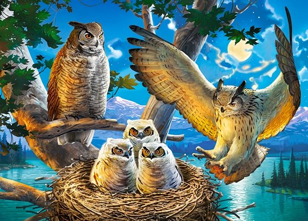 Puzzle Owl Family