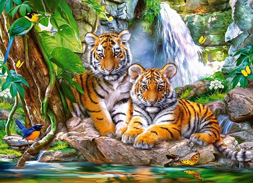 Puzzle Tiger Falls
