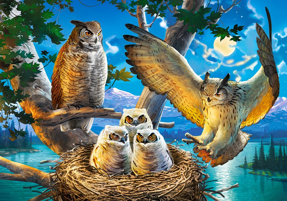 Puzzle Owl Family II