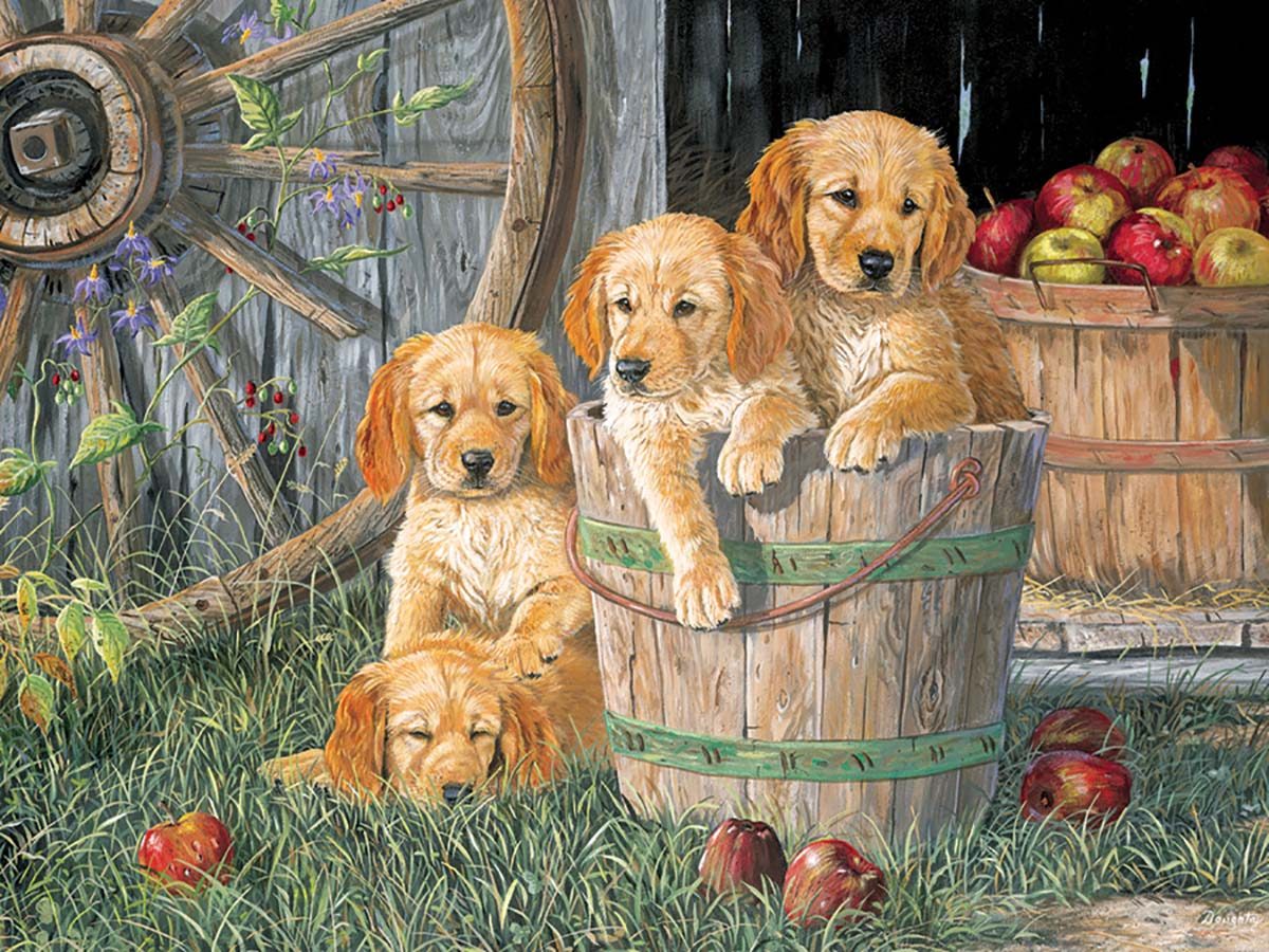 Puzzle Family Collection: Puppy Pail