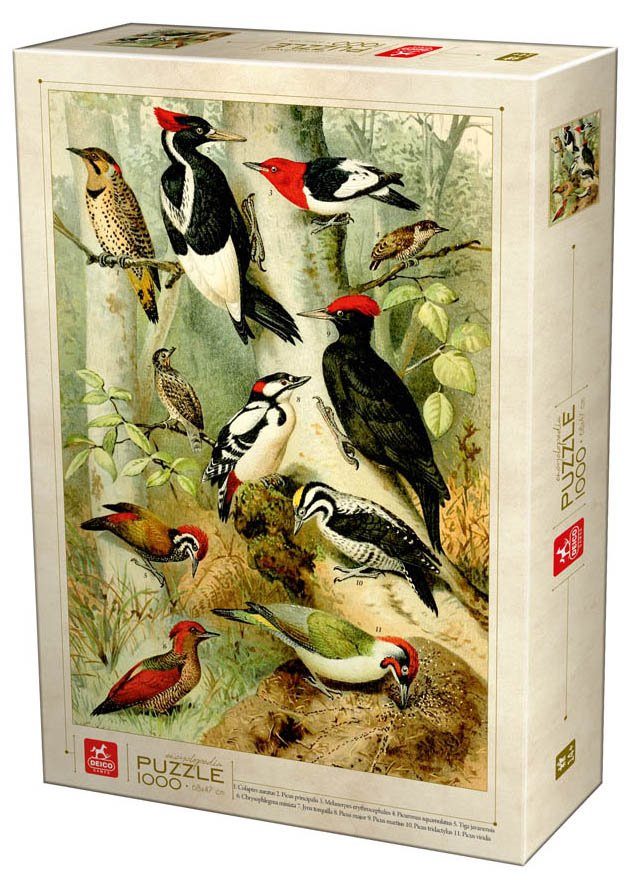 Puzzle Zbirka Enciklopedija: Ptice