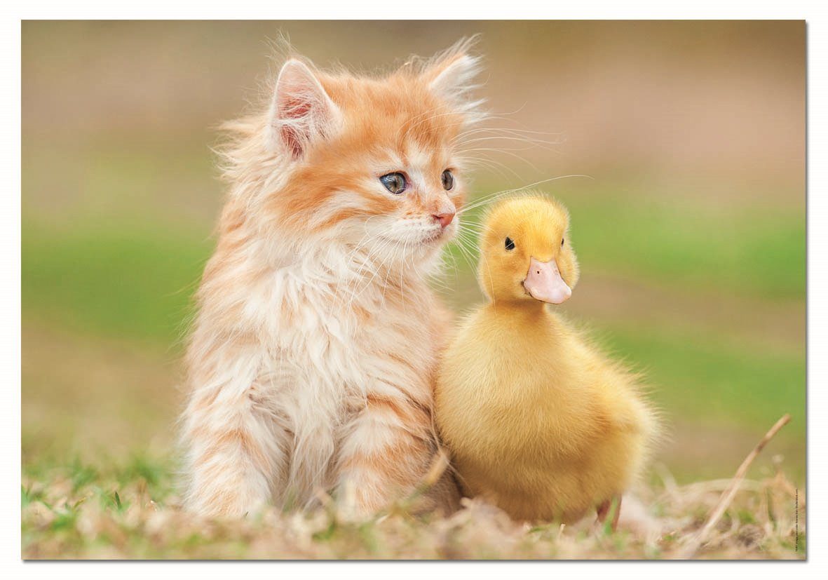 Puzzle Imádnivaló barátok - Cica és kacsa 