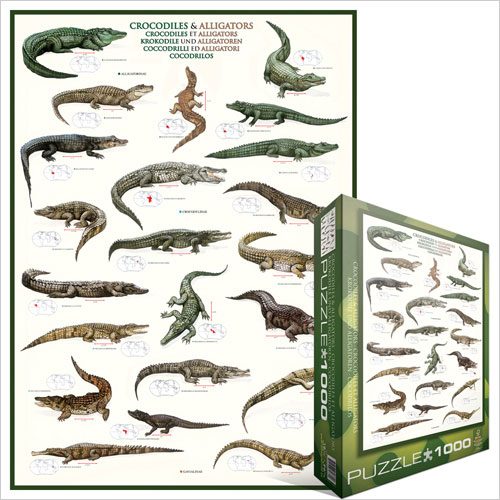 Puzzle Krokodillen en alligators