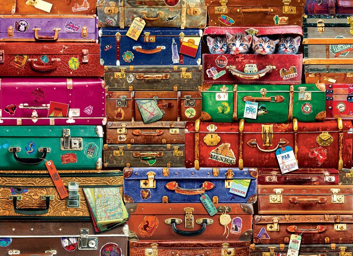 Puzzle Travel Suitcases