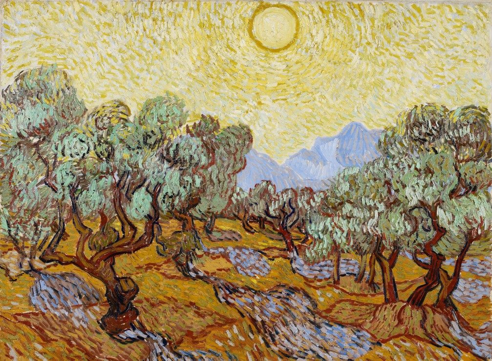 Puzzle Vincent van Gogh: Olivovníky