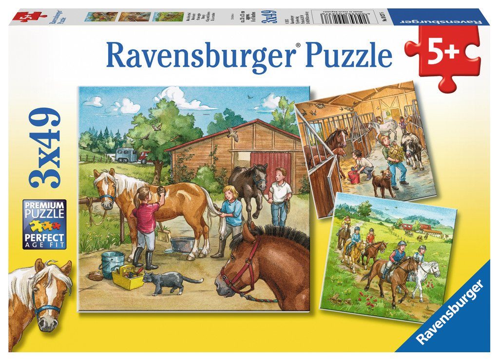 Puzzle 3x49 O zi cu cai