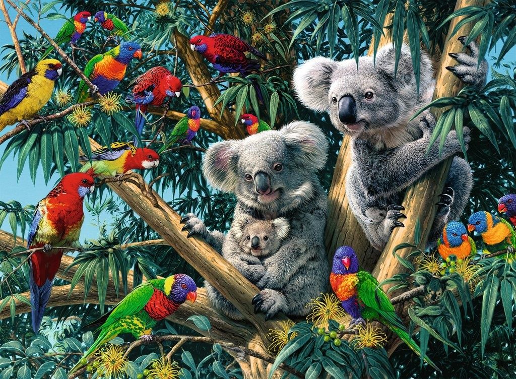 Puzzle Koaly na strome