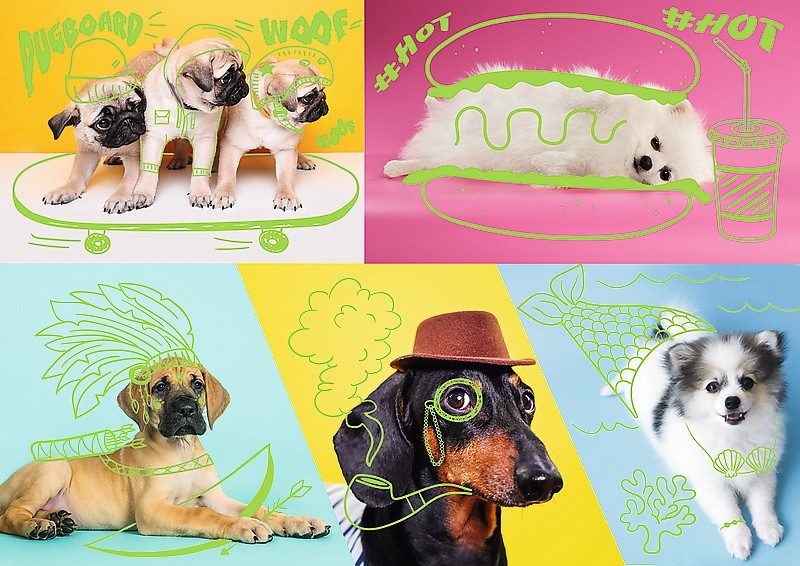 Puzzle Neon Color Line: Cool dogs