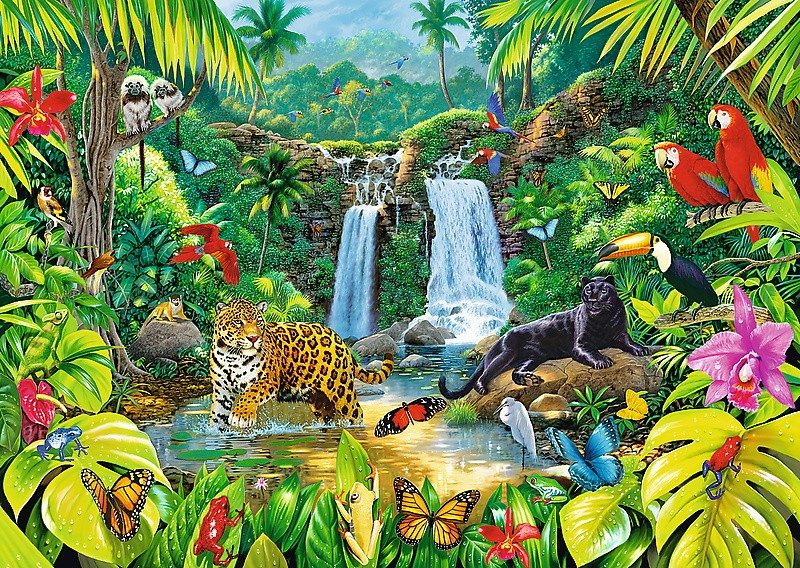 Puzzle Tropical forest