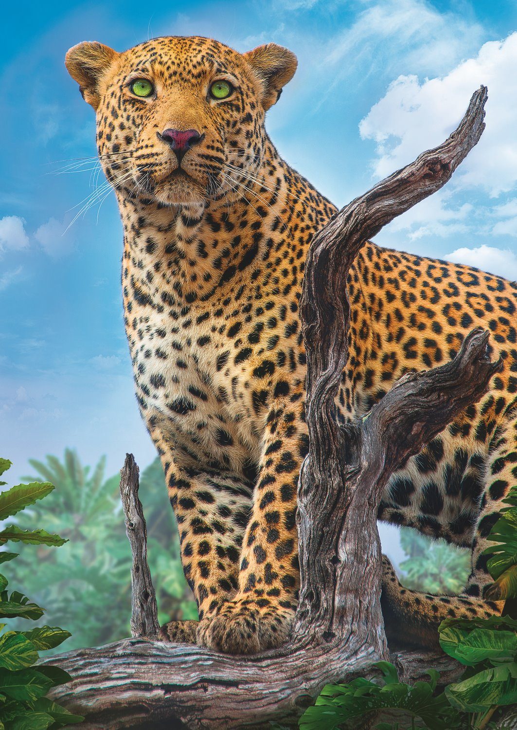 Puzzle Divoký leopard