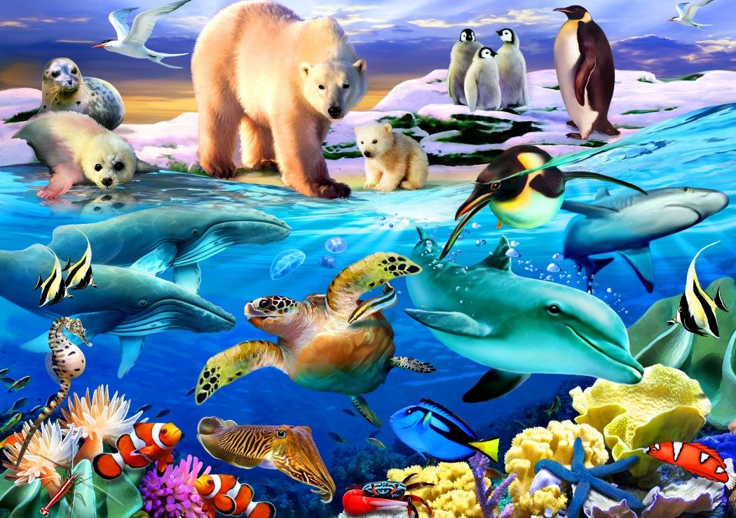 Puzzle Oceans of Life