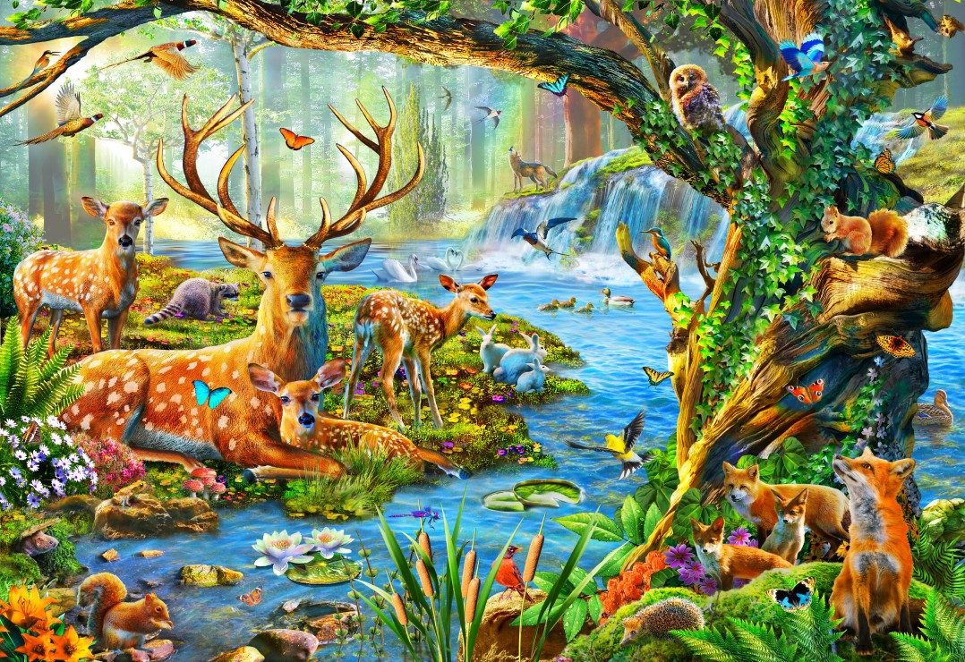 Puzzle Forest Life 260 Stück