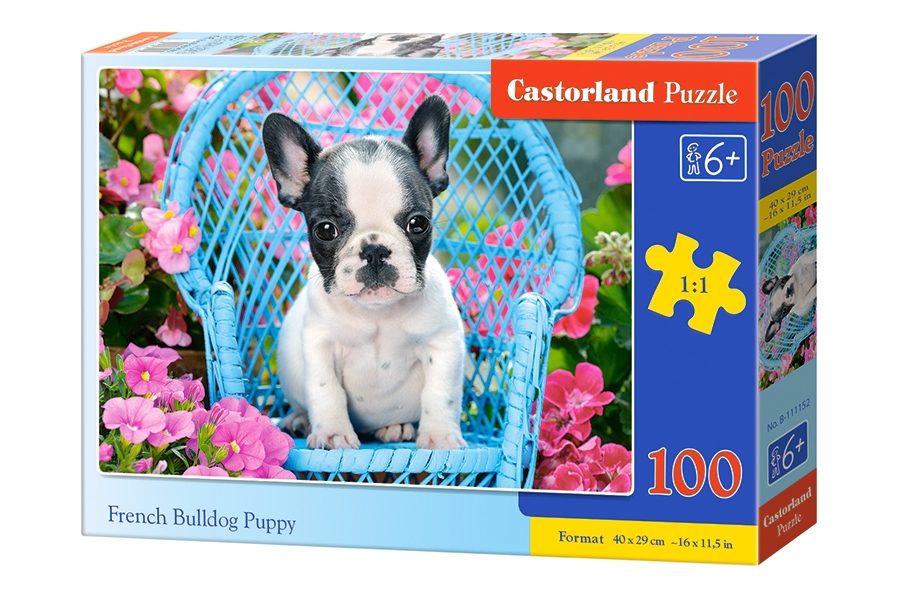 Universiteit Belang schade Puzzle Franse Bulldog pup, 100 stukken | PuzzleMania.nl