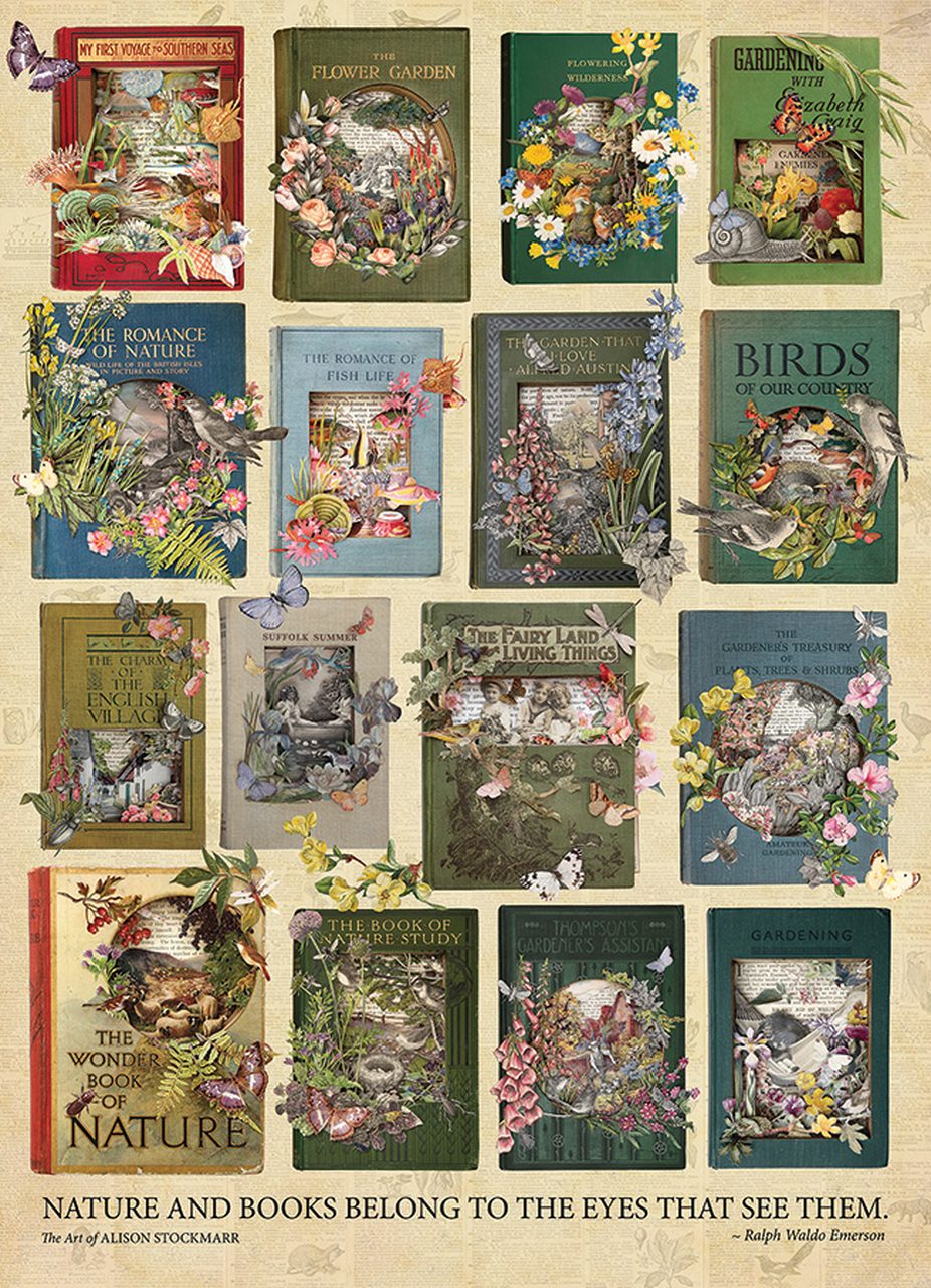 Puzzle The Nature of Books
