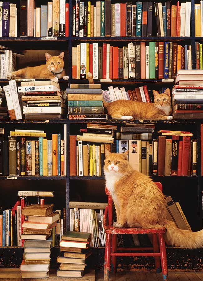 Puzzle Mačka v kníhkupectve