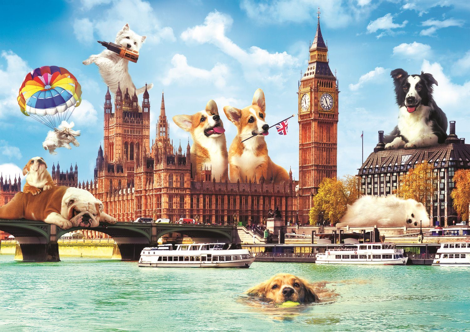 Puzzle Dogs in London