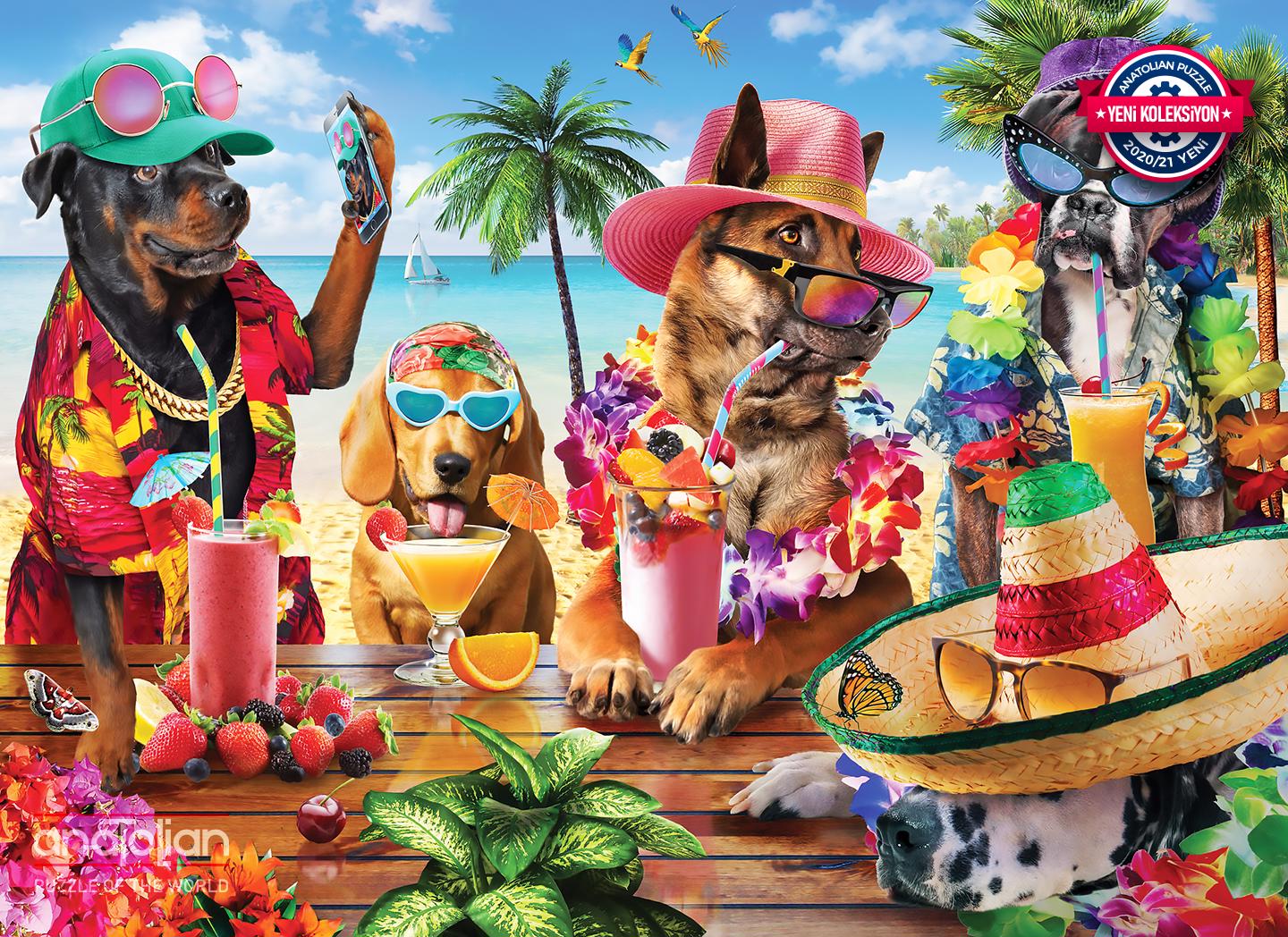 Puzzle Dogs Drinking at the Beach