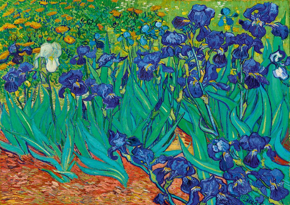 Puzzle Vincent Van Gogh - Irises, 1889