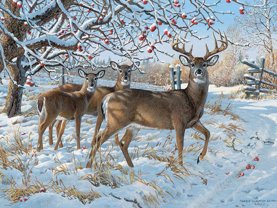 Puzzle Persis Clayton Weirs - Cerf d'hiver