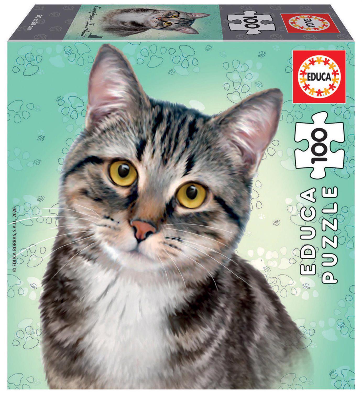 https://puzzlemania-154aa.kxcdn.com/products/2021/puzzle-educa-100-pieces-european-shorthair-cat-100.jpg