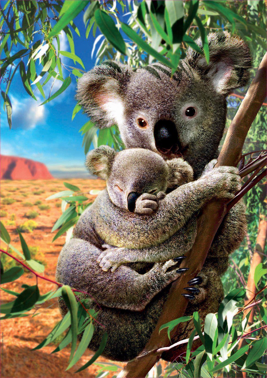 Puzzle Koala and cub
