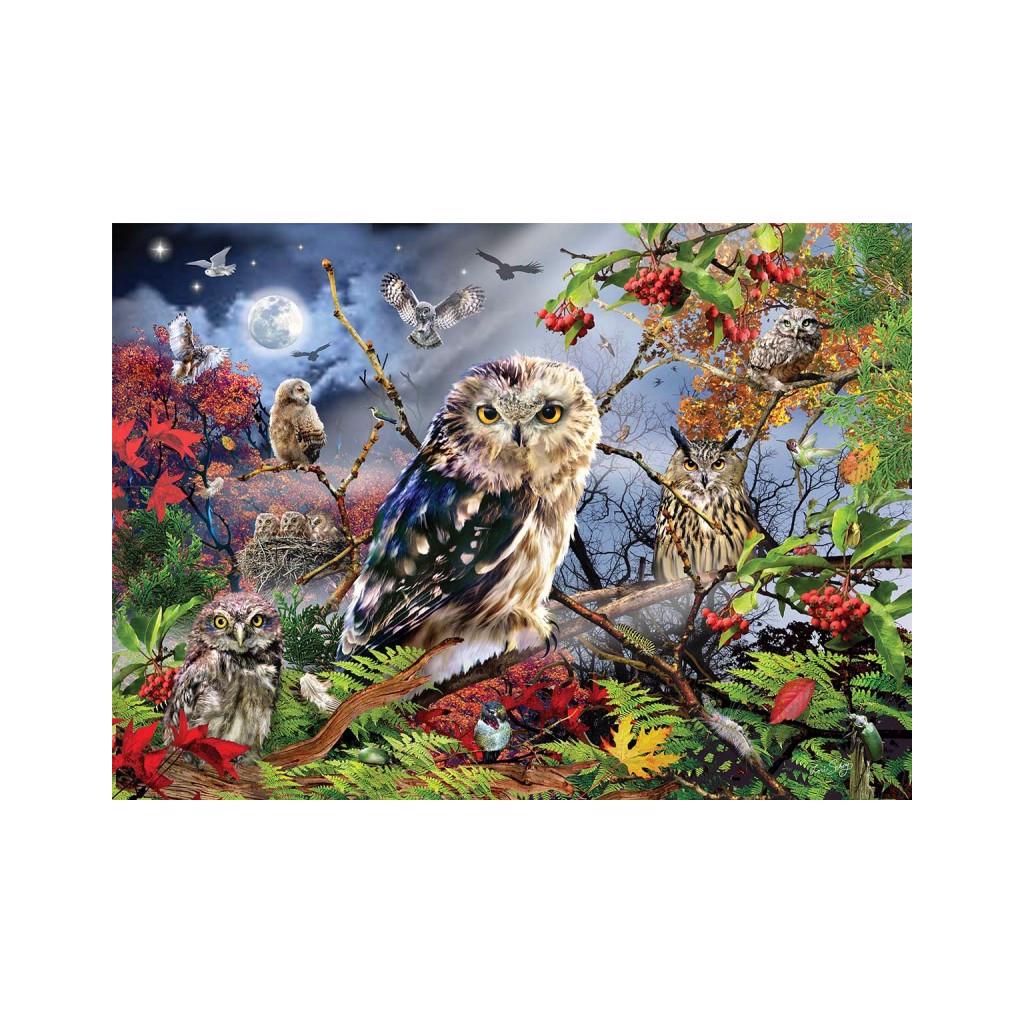 Puzzle Owls in the Moonlight
