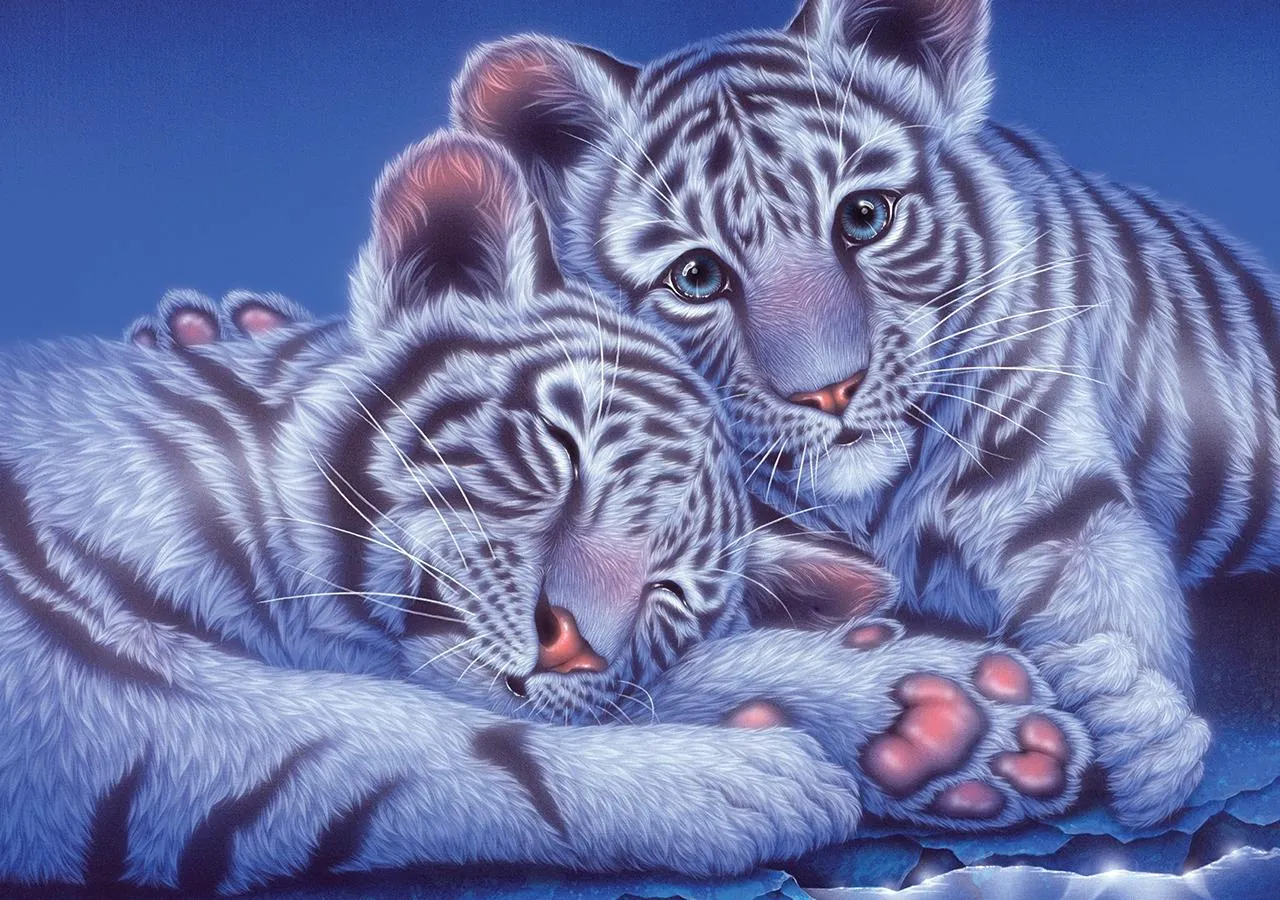 Puzzle Dve mláďatá tigra