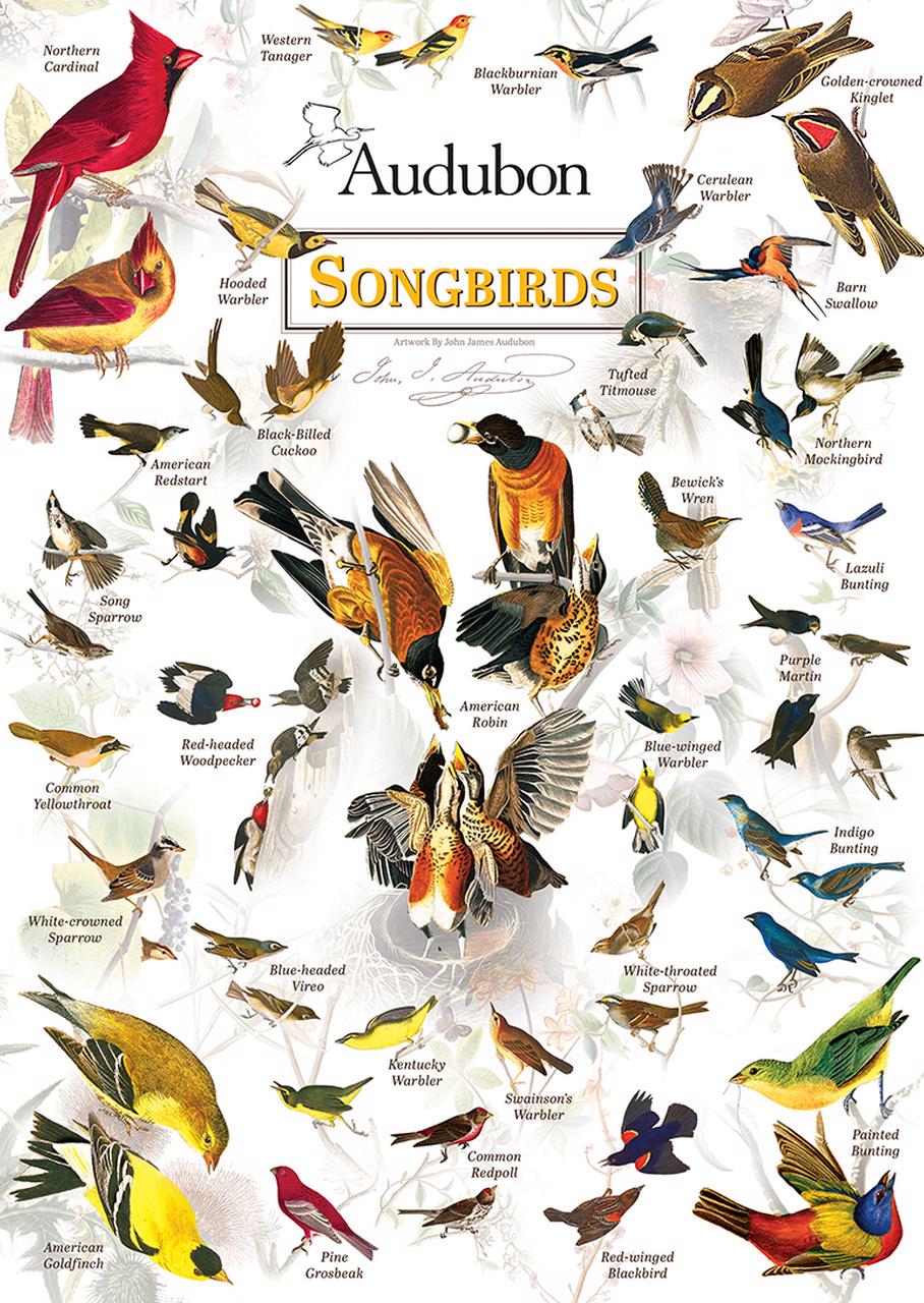 Puzzle Songbirds