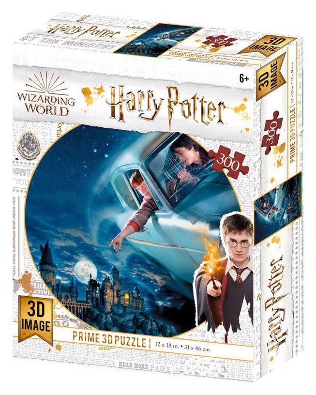 Puzzle 3D effect: Harry Potter: Harry and Ron over Hogwarts, 300