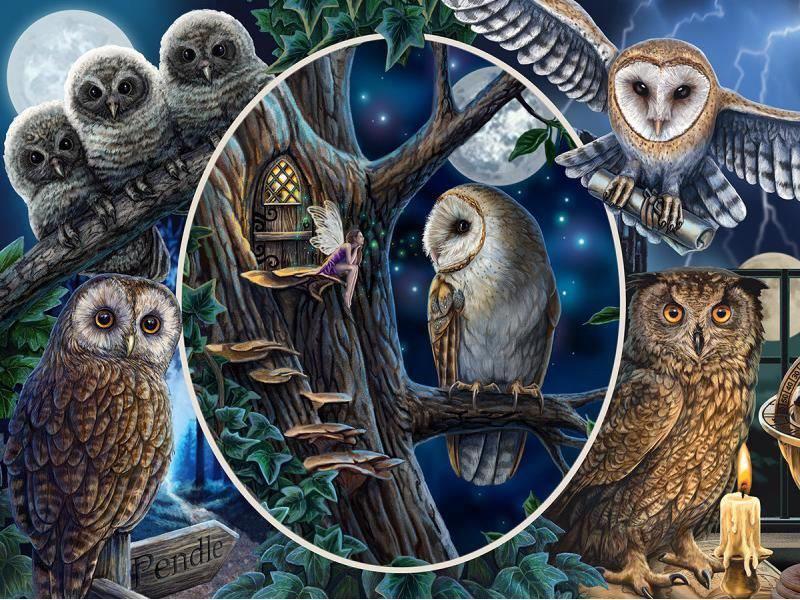 Puzzle 3D effect: Noble owls