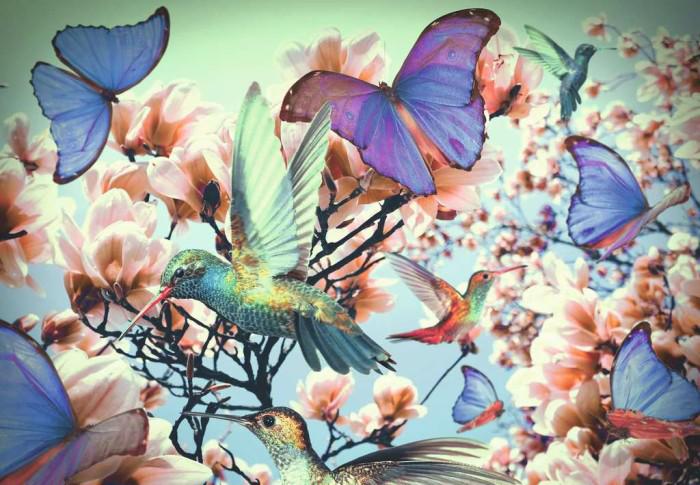 Puzzle Beija-flores e borboletas
