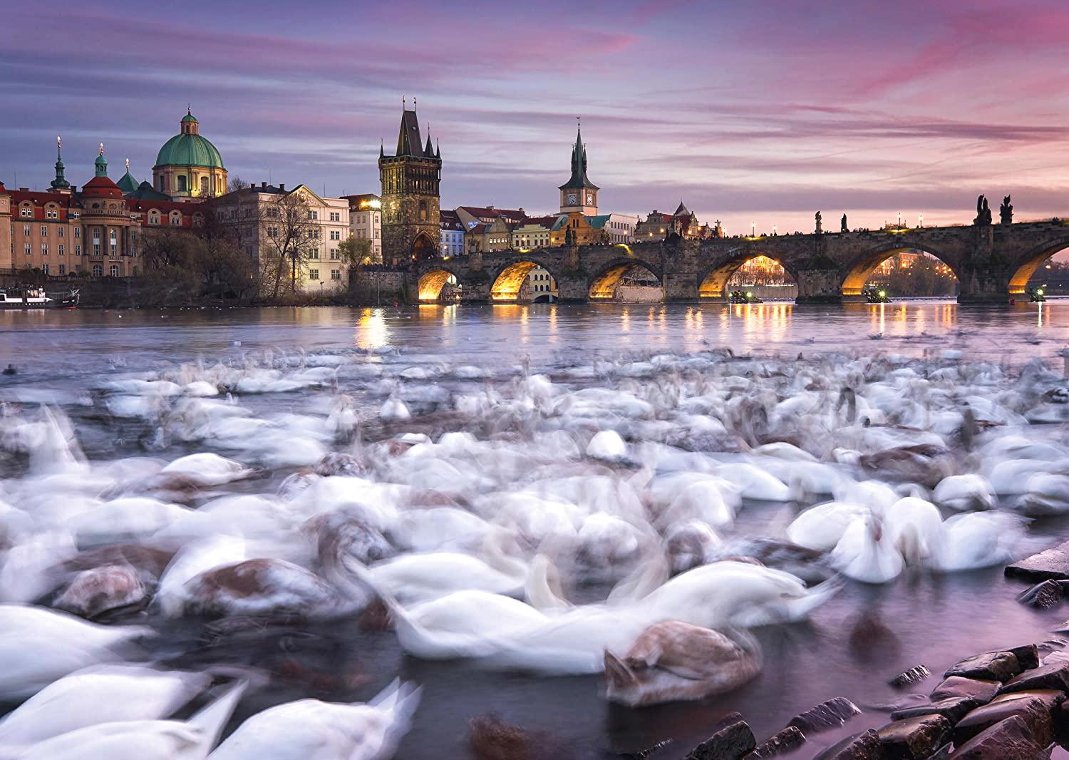 Puzzle Ringer: Prague: Swans