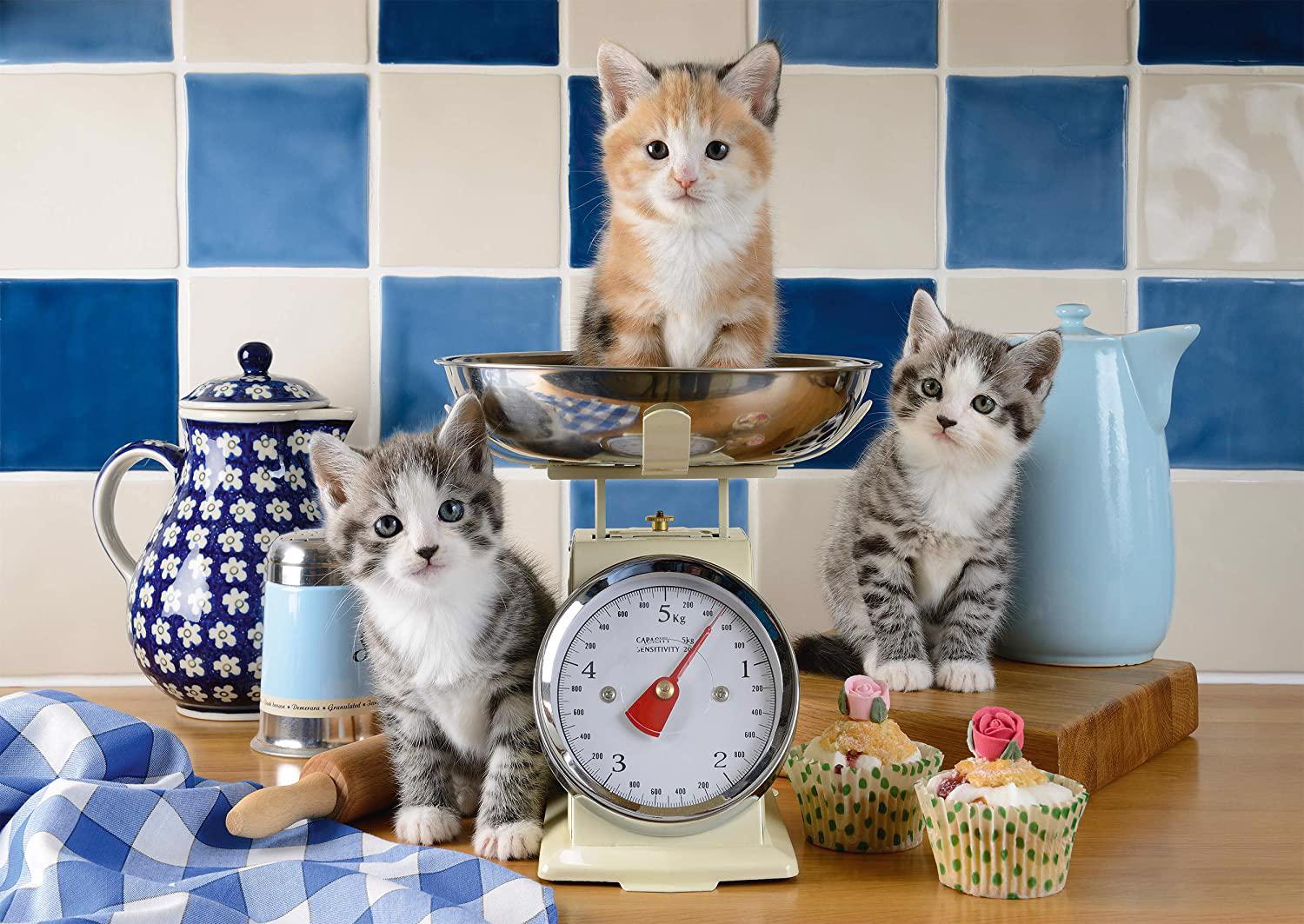 Puzzle Katzen in der Küche
