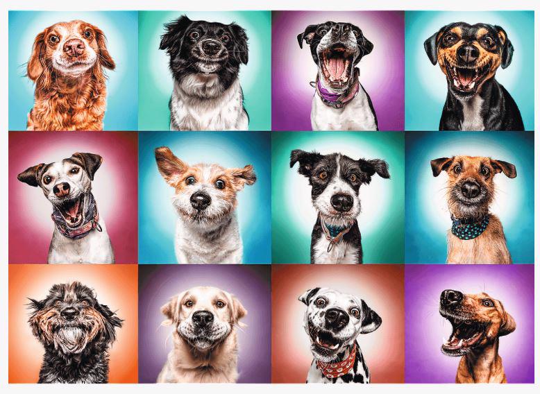 Puzzle Funny Dog Portraits 2000