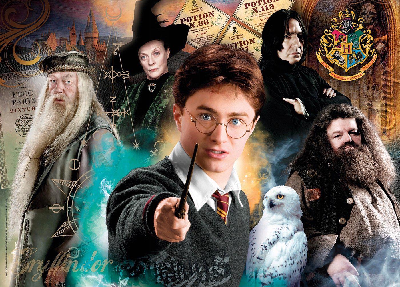 Puzzle Hogwarts Souvenirs Harry Potter