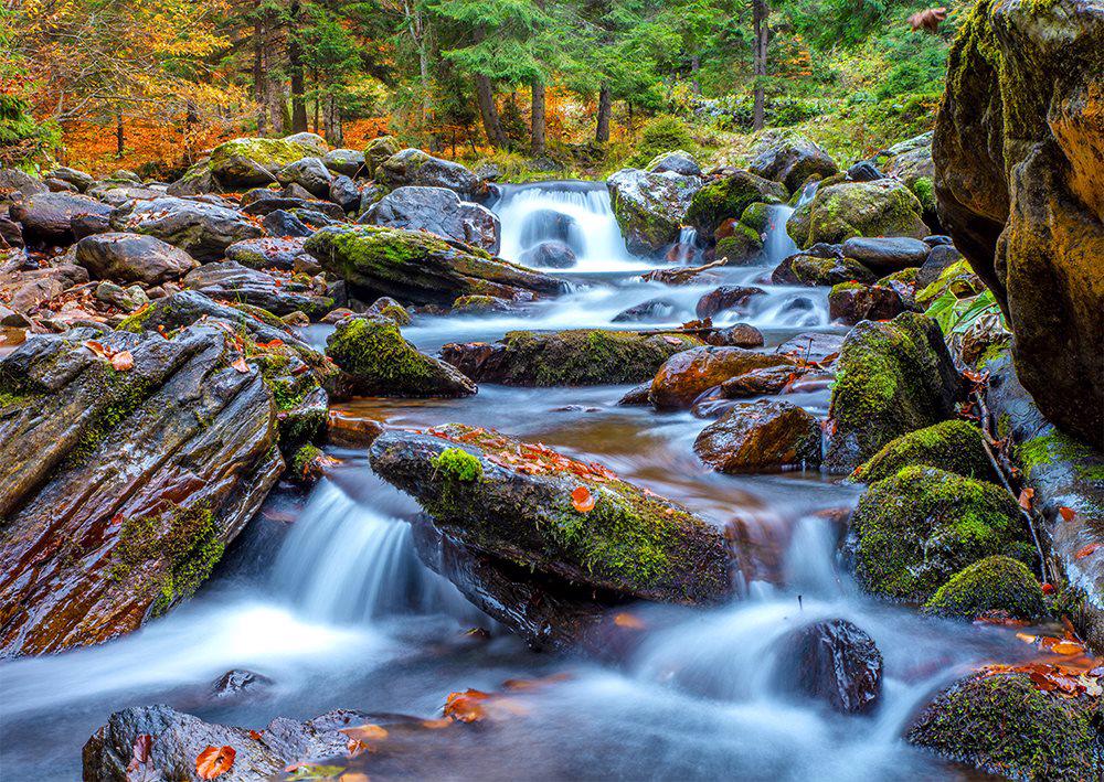 Puzzle Lesní potok na podzim