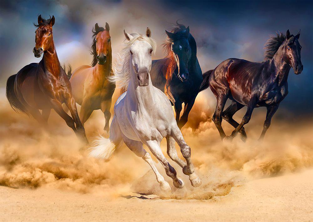 Puzzle Horses Running in the Desert 1000