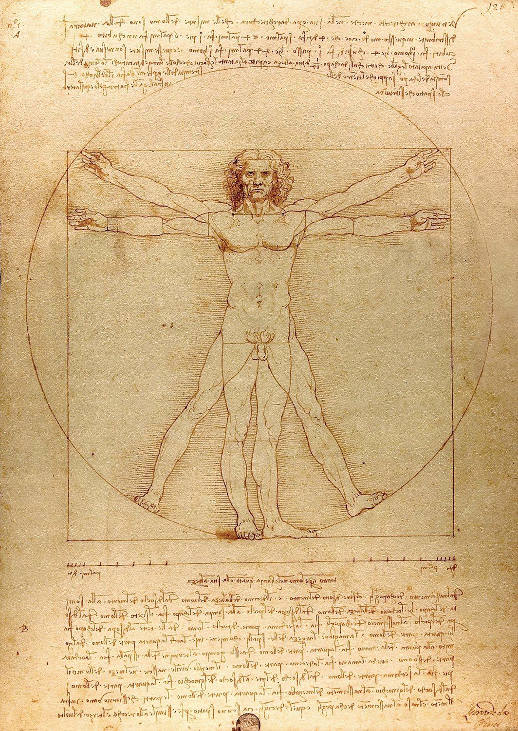 Puzzle Leoardo da Vinci: Der vitruvianische Mensch 1000
