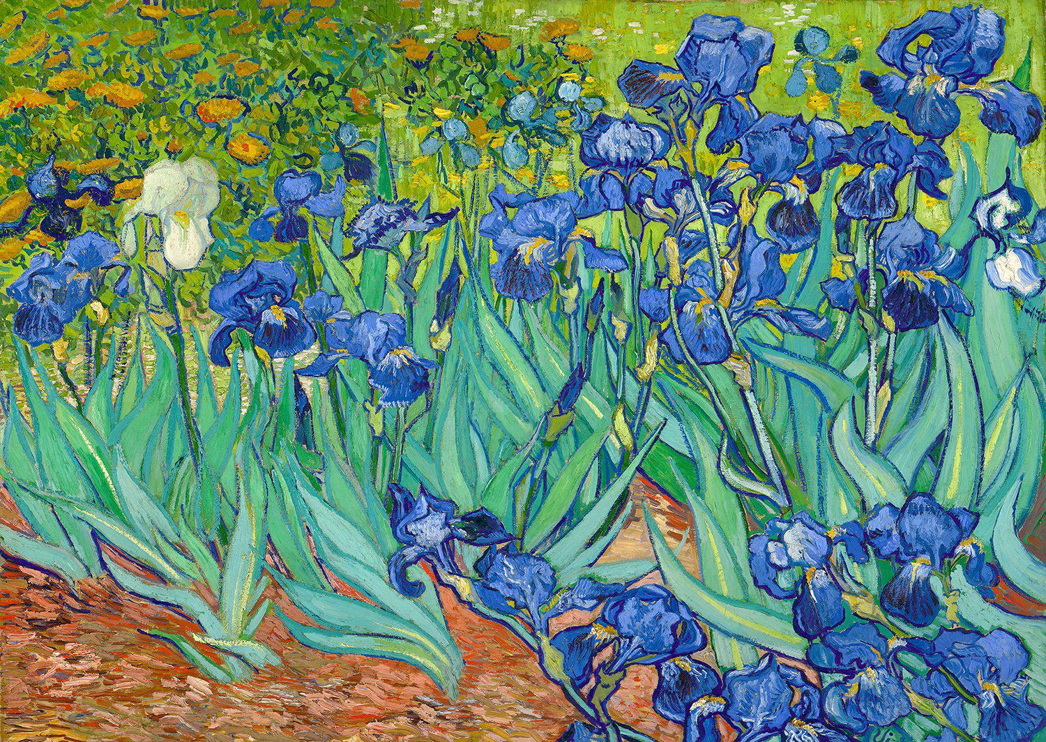 Puzzle Vincent Van Gogh: Irysy