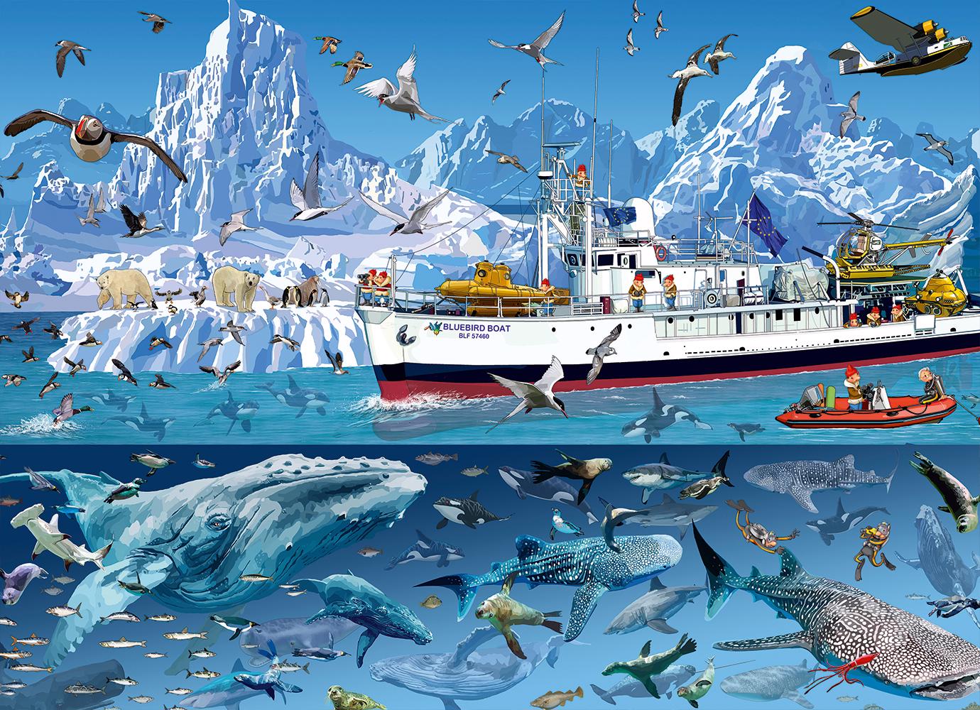 Puzzle François Ruyer: The Bluebird ship in the Arctic