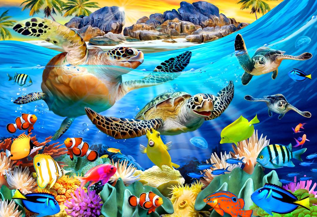 Puzzle Schildpad strand