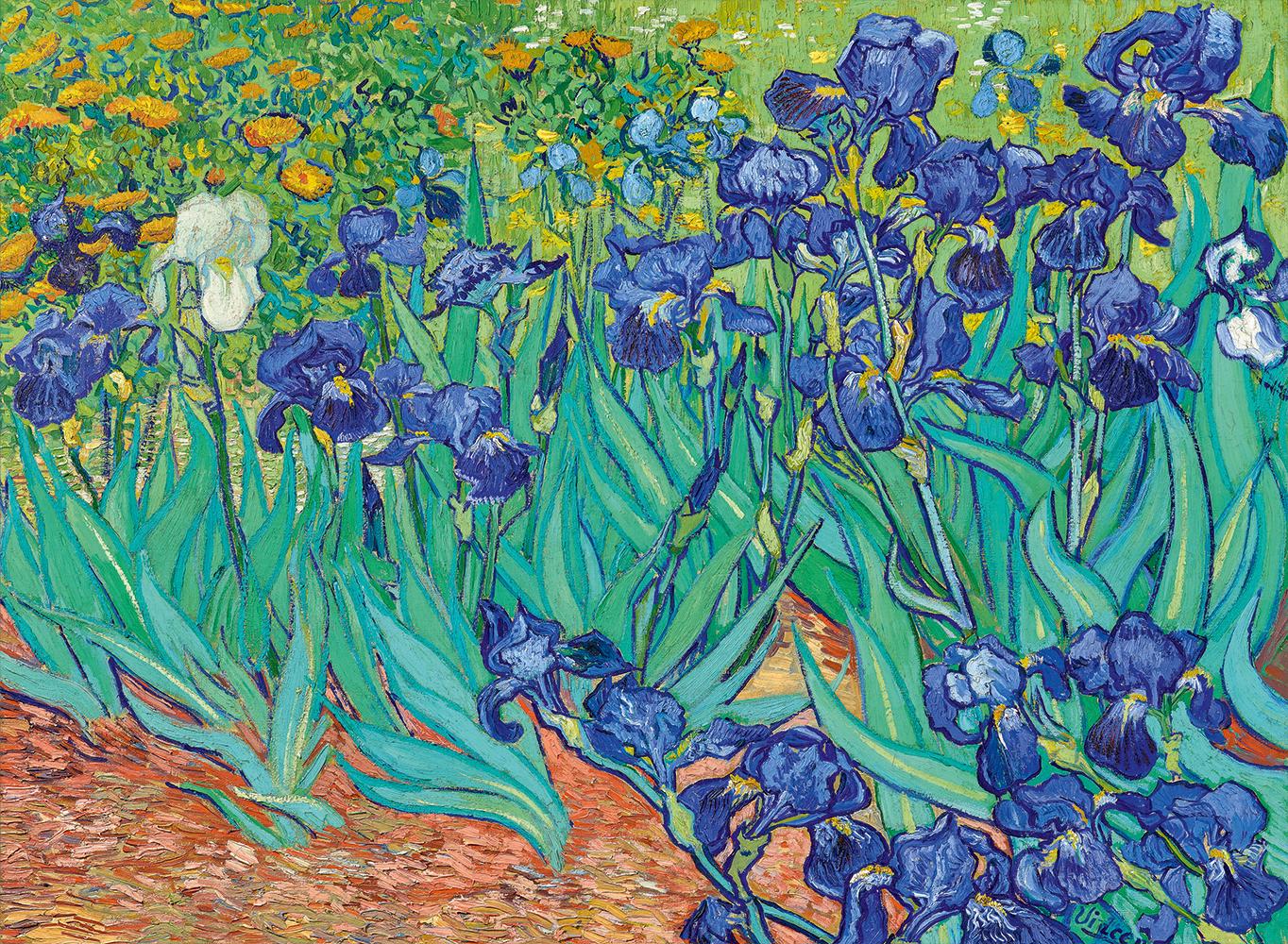 Puzzle Vincent van Gogh: Íriszek