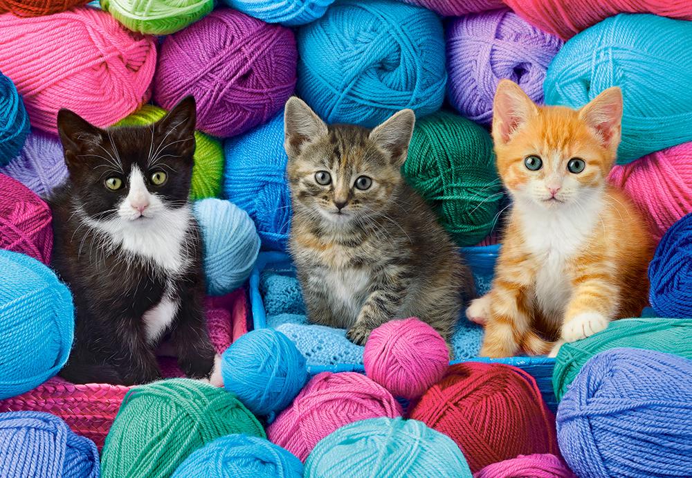 Puzzle Kittens in Yarn Store